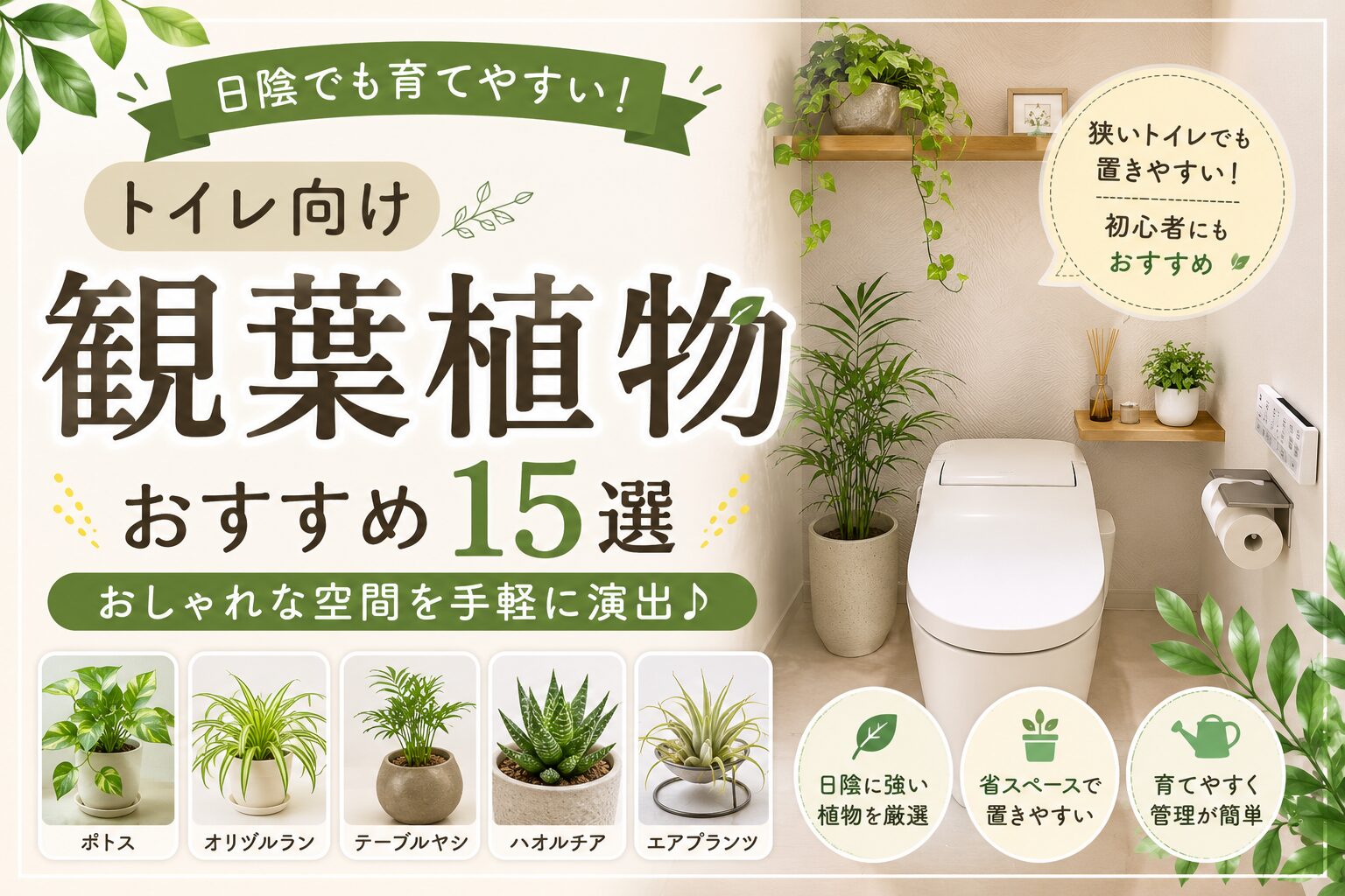 【トイレ向け】観葉植物おすすめ15選｜日陰でも育てやすい人気の種類を紹介