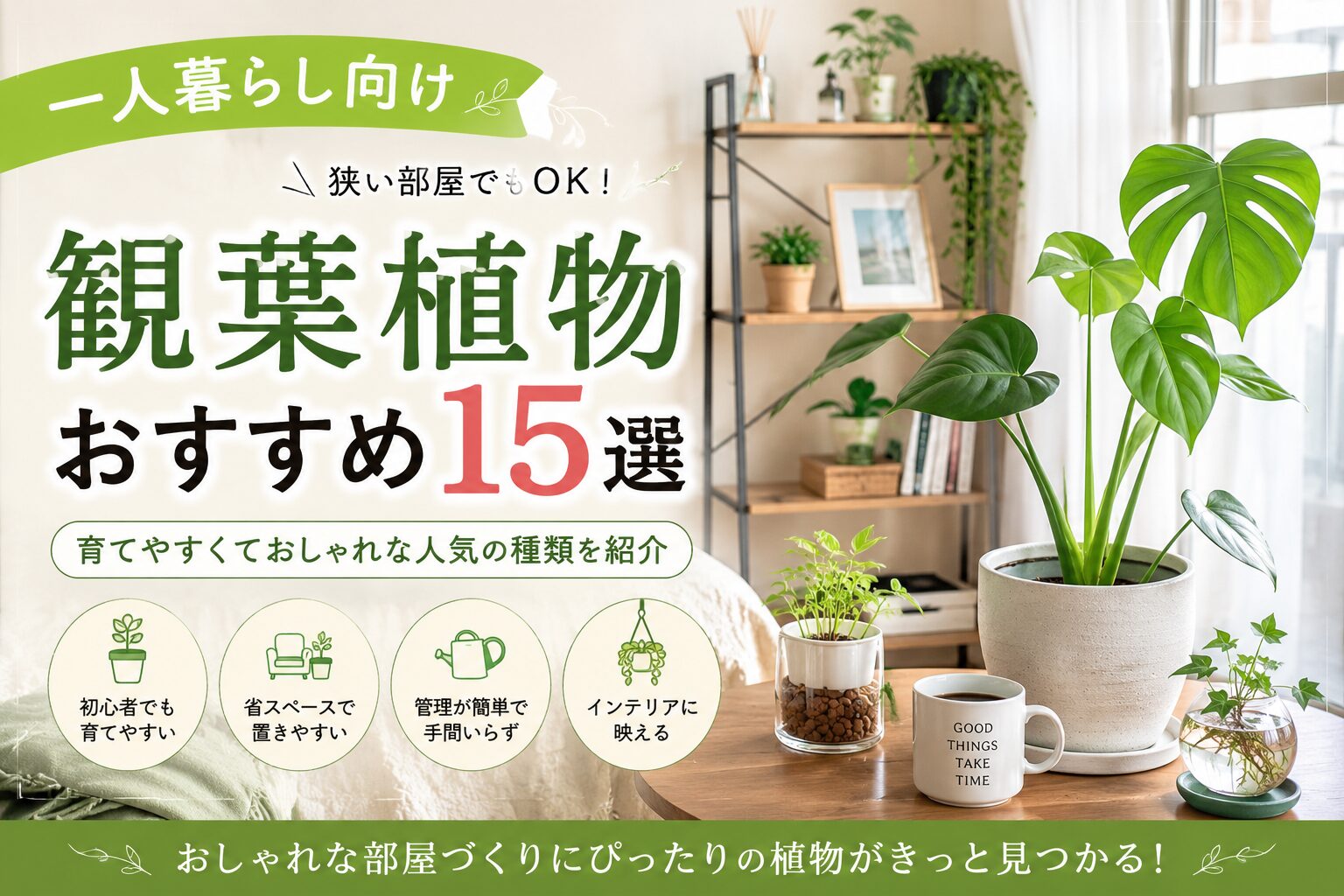 【一人暮らし向け】観葉植物おすすめ15選｜狭い部屋でも育てやすい人気の種類を紹介